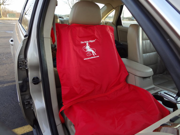 Ruby Slipper Car Seat mounted installed in a car