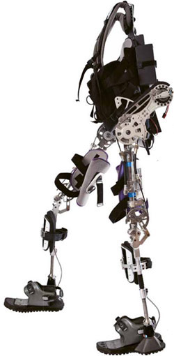 What is an exoskeleton?