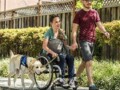Canine Companions For Independence - Highly Trained Assistance Dogs Canine-Companions-Assistance-Dogs