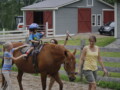 Granite-State-Adaptive-Sports-Adaptive-Cycling-Program-Equine-Program