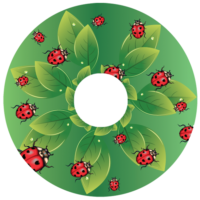Spoke guards with lady bugs on a green leaf background